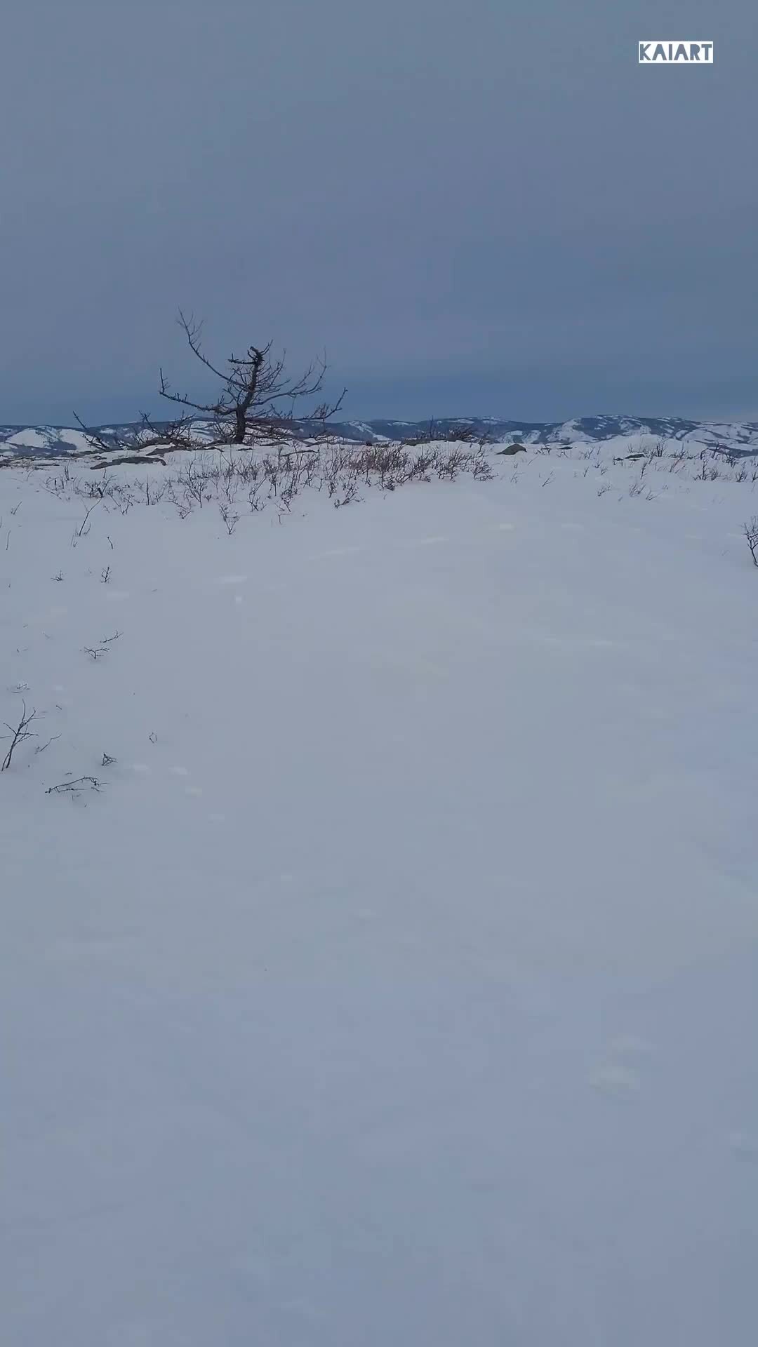 Пологая траектория это. Абсолютная высота холмов на топографической карте. Человек на склоне горы. Этот подъем крутой а тот пологий. Этот подъем крутой а тот пологий.