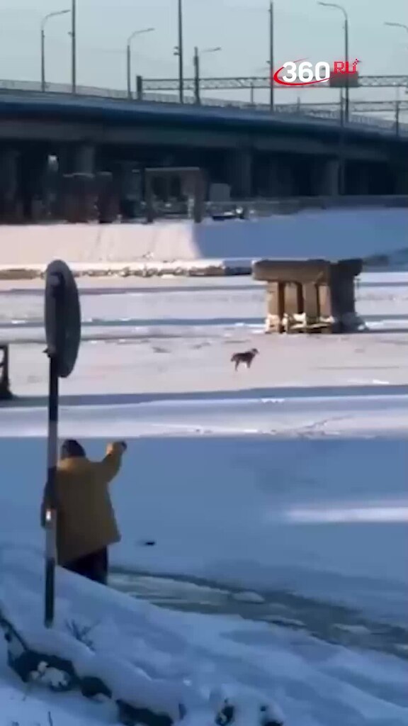 Замерзла 4 дни