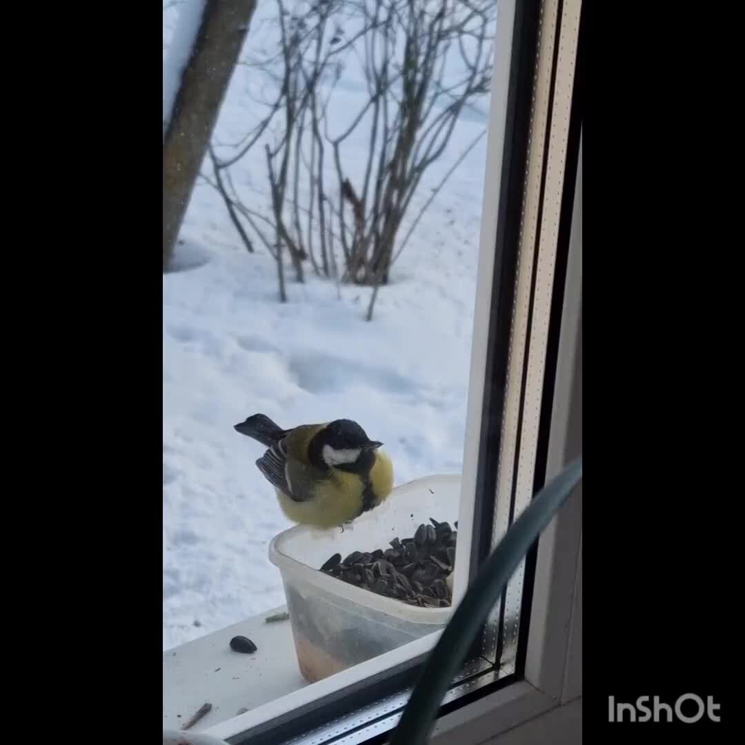 Зиму пожалуйста