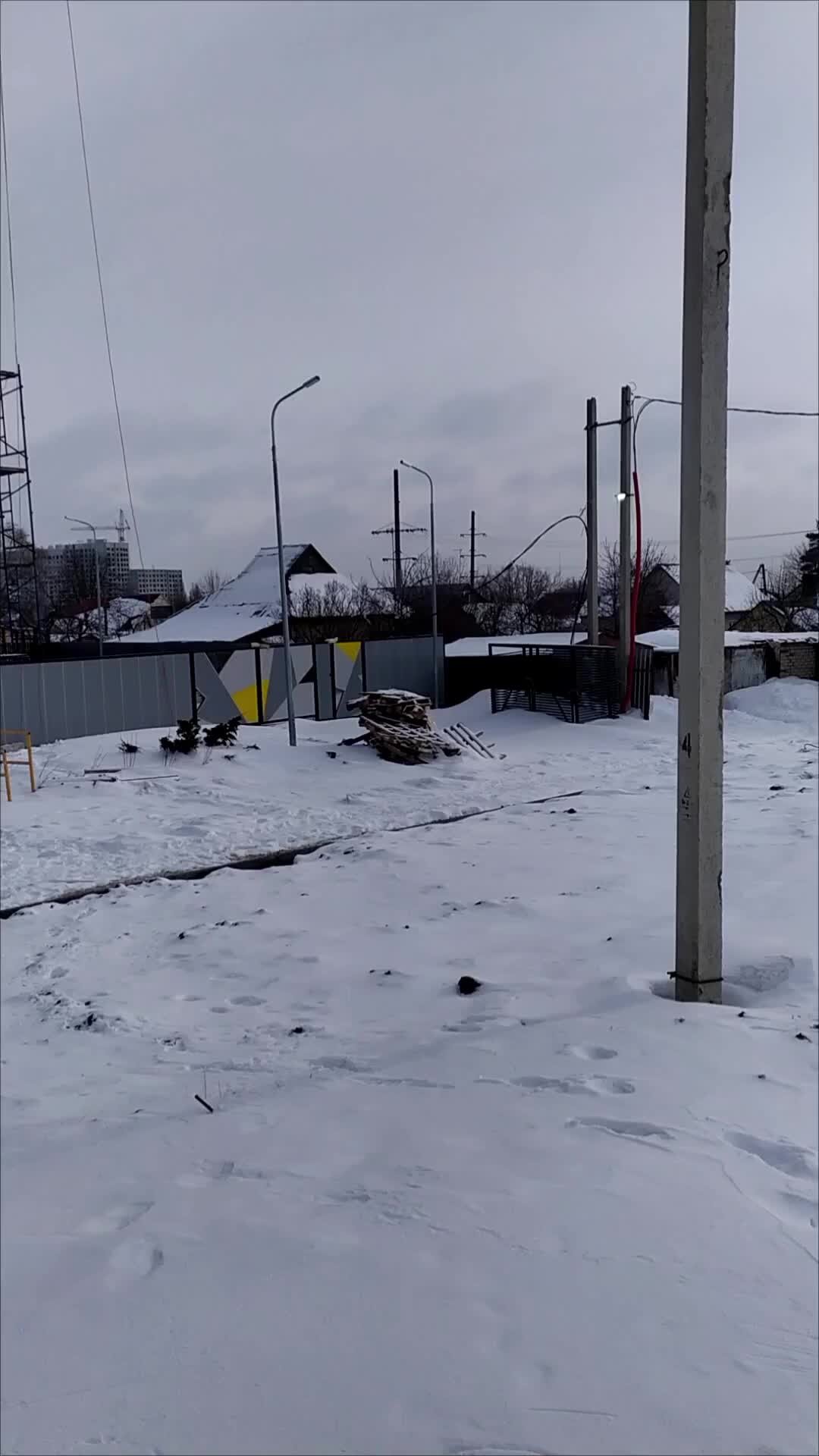 новогодние украшения липецк. главная елка липецка. липецк зима 2022. главная елка липецка 2023. елка в липецке на площади петра великого в липецке.