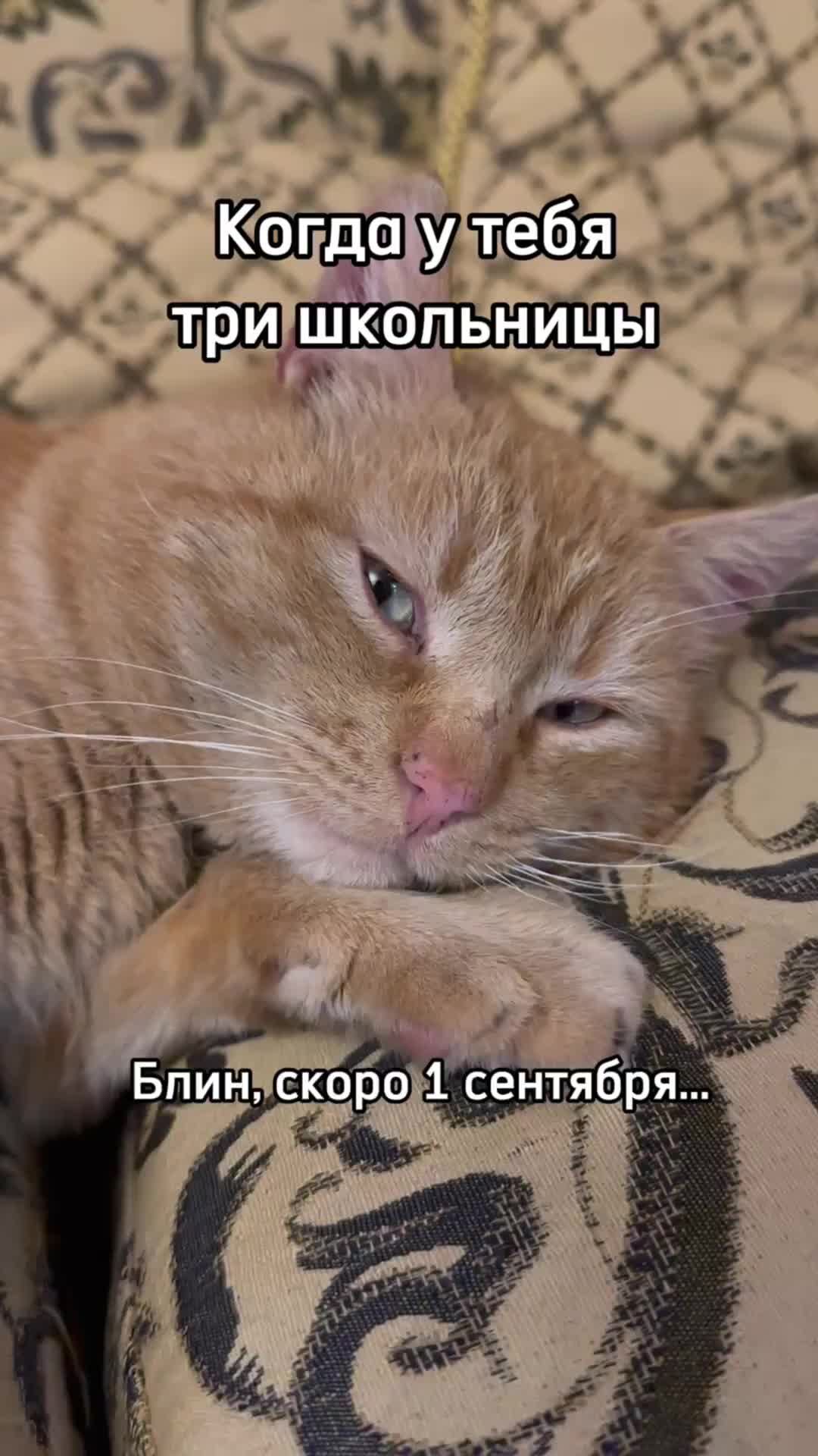 У меня нет выбора я мамочку