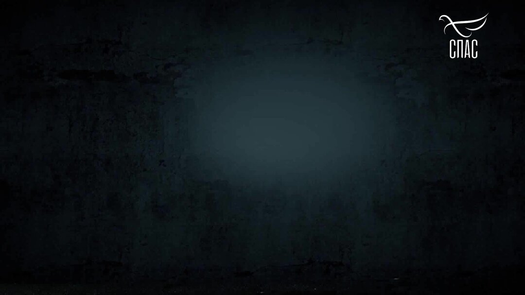 Служба спасения семьи ведущие. Питер краузе 911. Служба спасения семьи ведущие. Служба спасения москва. Ведущие программы служба спасения семьи.