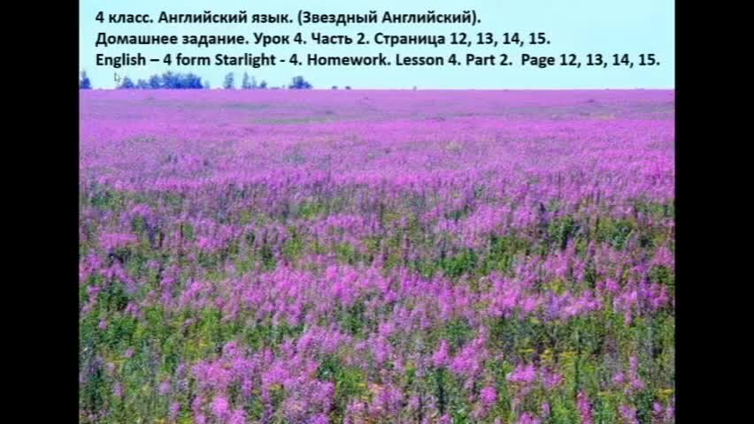 английский язык (в 2 частях) быкова н. , дули д. спотлайт 3 класс учебник. английский 3 класс учебник стр 13. и другие 4.