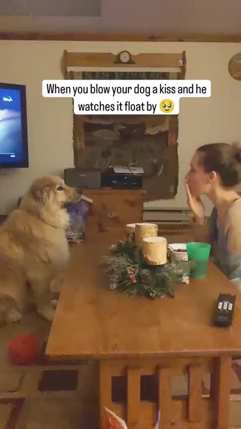 Наша лодка проплывала то мимо. Картинки мальчик плывёт на пироге. Картинки с изображением плывёт пирога. Лодка плывет по течению. Задача про лодку и течение.