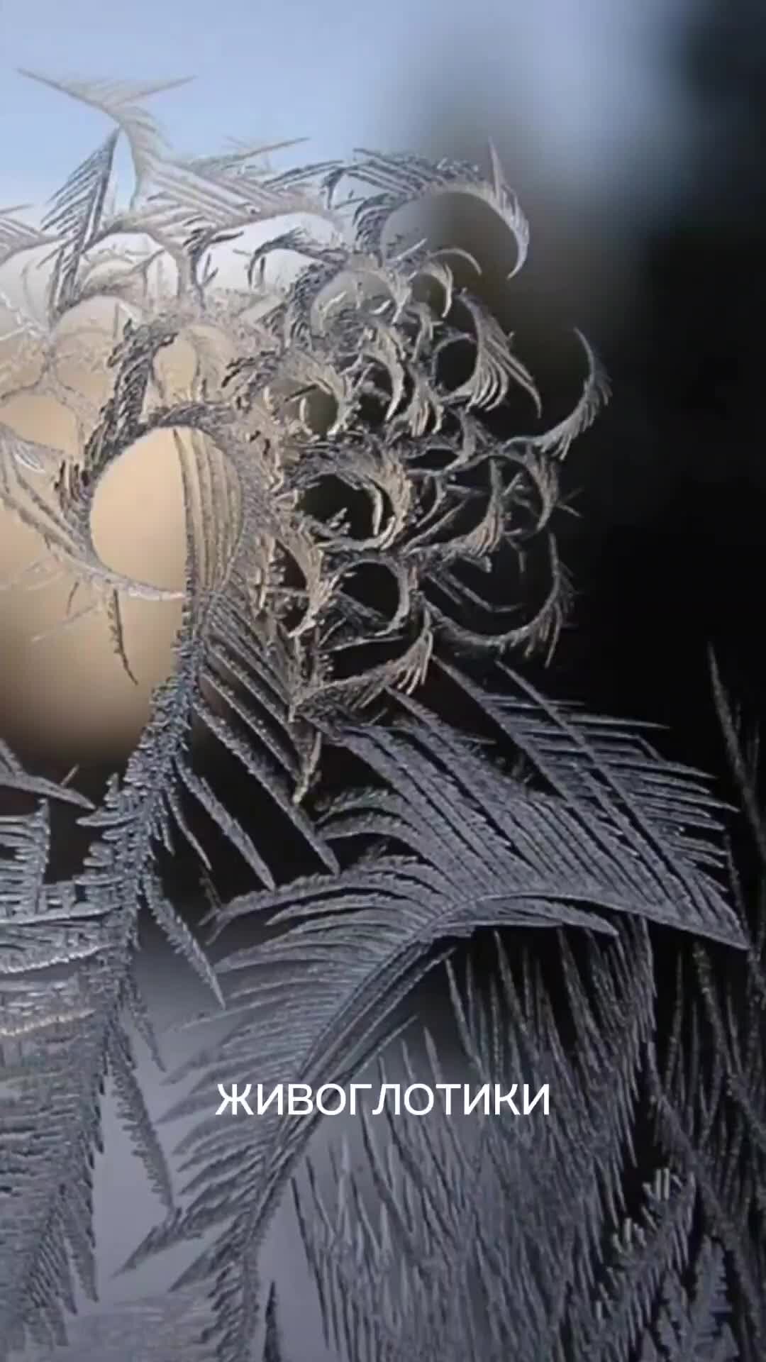 Пленка для заклеивания окон. Теплозащитные пленки на окна. А я заклею окна на зиму песня. Заклеить окна. Заклеить окна к зиме фото.