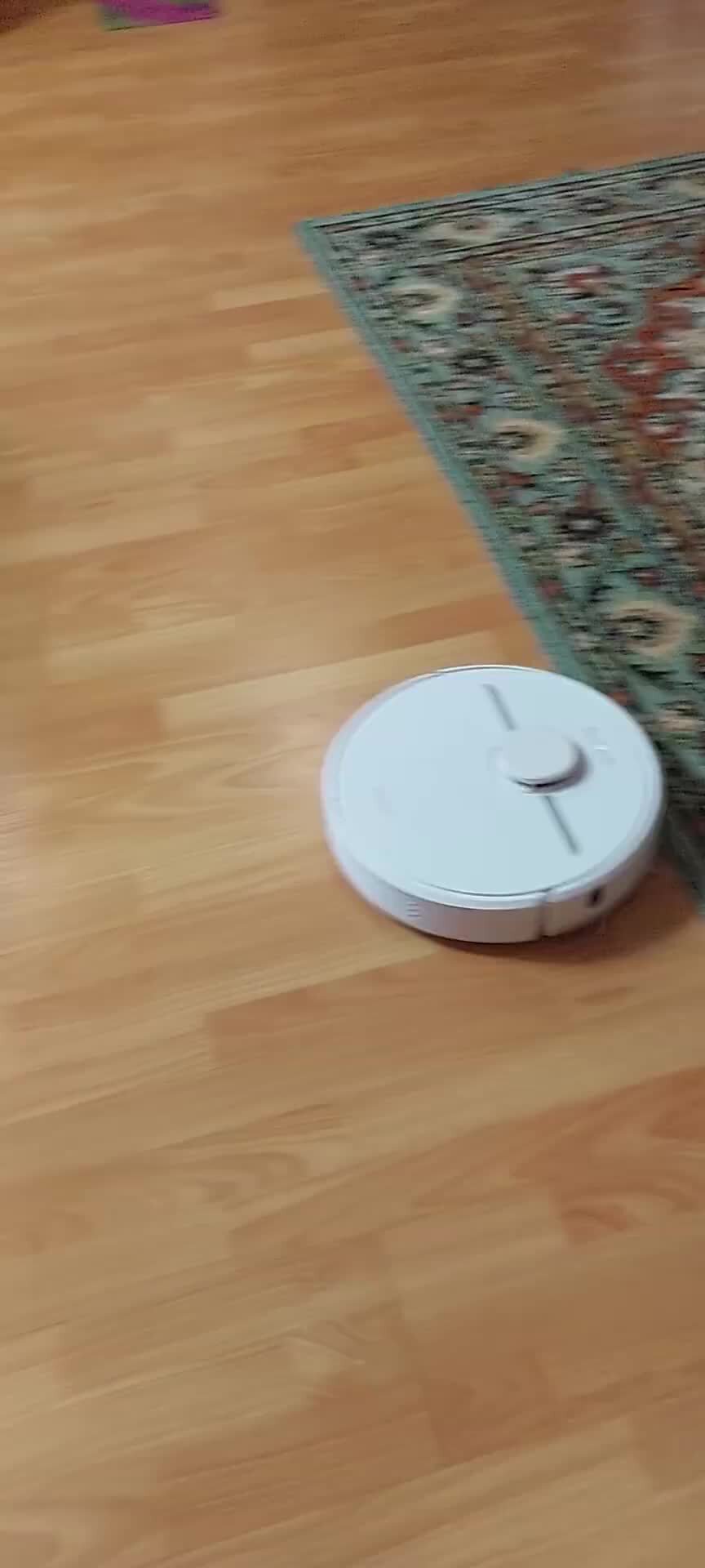 Котиков на робот пылесос катающихся. Котенок на роботе пылесосе. Робот пылесос кошка видео. Робот пылесос кошка видео. Котенок и пылесос.