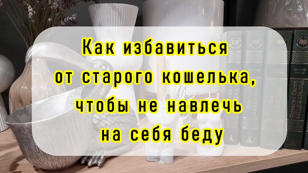 Как избавиться от кота