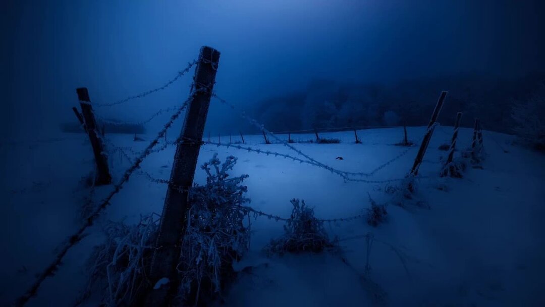 Тишина среди бегущих. Мрачный зимний пейзаж. Зима ночь. Зимний лес ночью. Мрачный зимний лес.