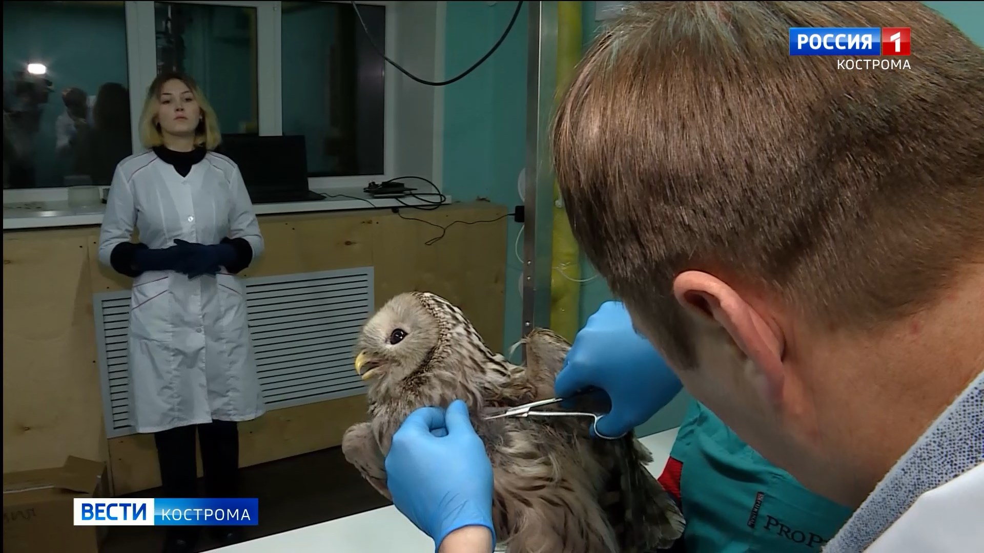 United label games. Черный интерьер. The black wall street. Мокап. Black wall group.