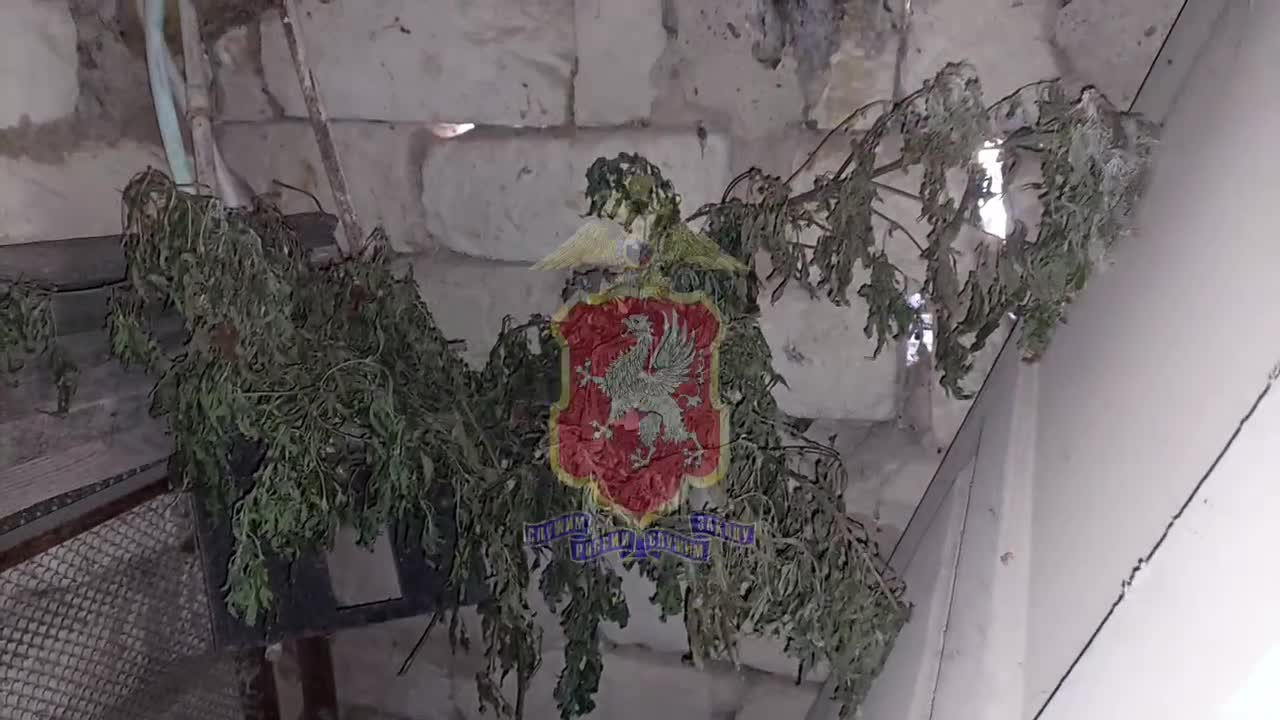 происхождение место проживания