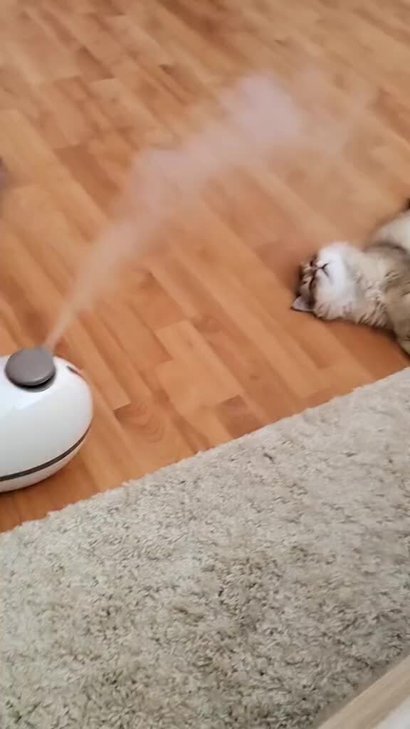 улица кошкина 10к1. городская поликлиника 210 в борисово ул. кошкина 10. кошкина 10. улица кошкина 10к1.