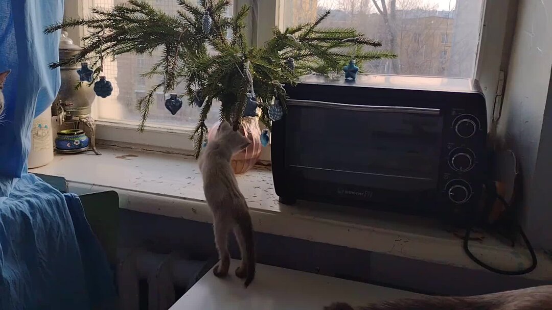 Фонетический разбор слова котенок. Кот разбор. Котенок по составу разобрать. Котик разбор. Разобрать слово по составу котенок.