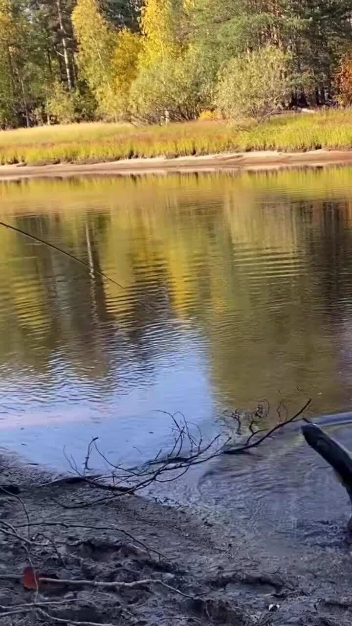 Рыба с руками. Пословицы про рыбалку. Пропустить рыбу. Рыбак упустил рыбу. Рыбалка улов.