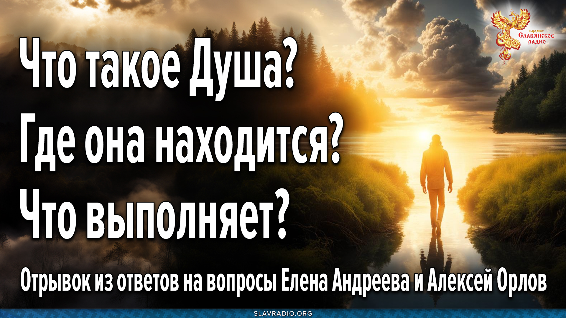 Своих функций выполняют и иные. Своих функций выполняют и иные