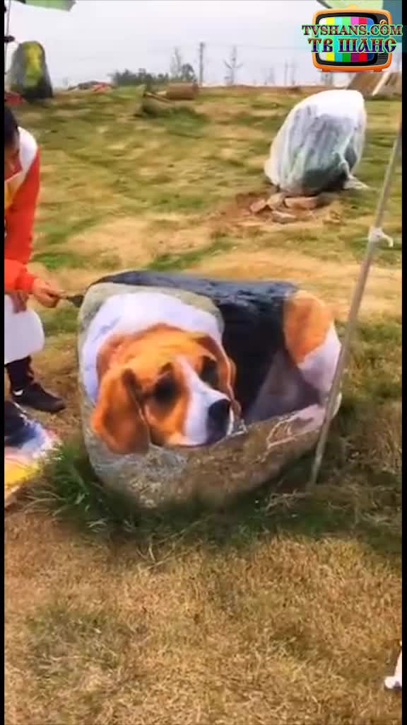 Чудной красоты
