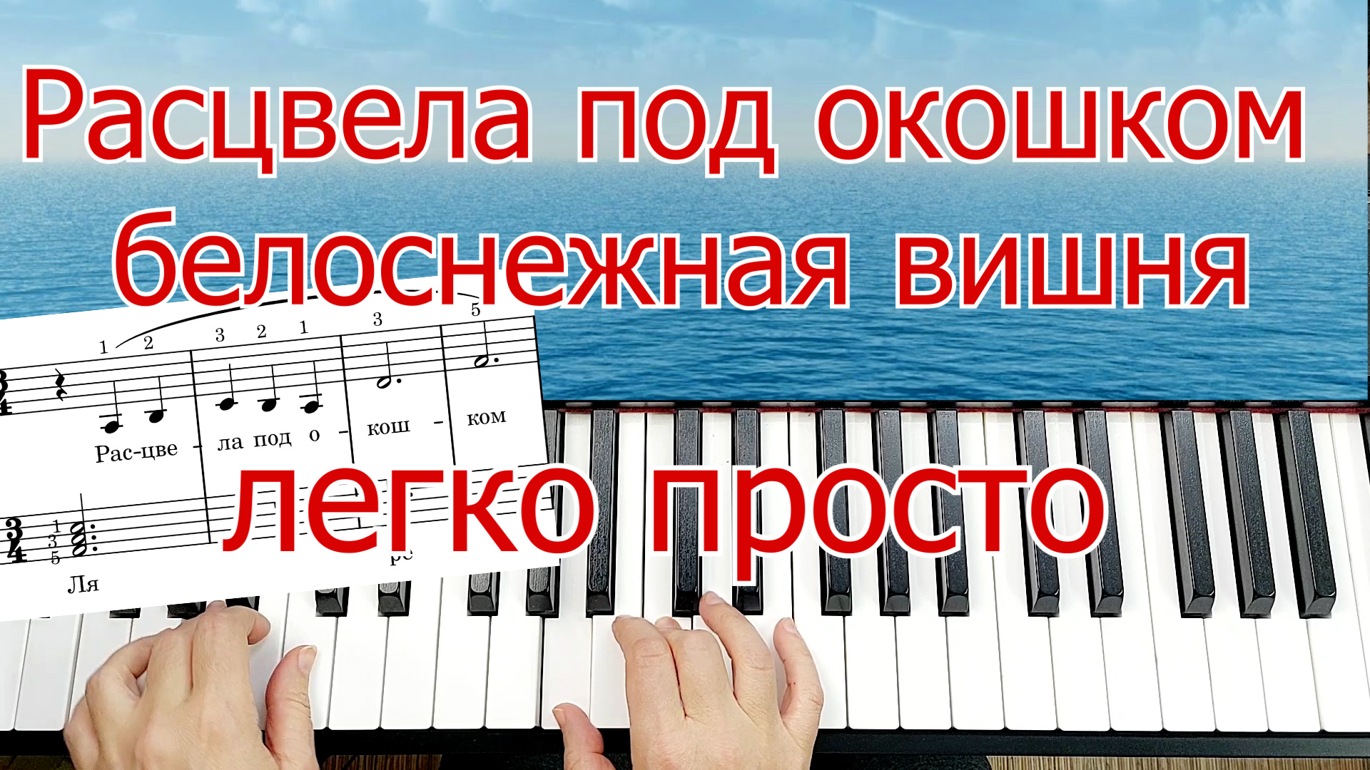 нотная грамота для начинающих фортепиано с нуля. нотный стан для фортепиано для начинающих. расположение басовых нот на пианино. нотная грамота для начинающих. басовый ключ чтение нот в басовом ключе.