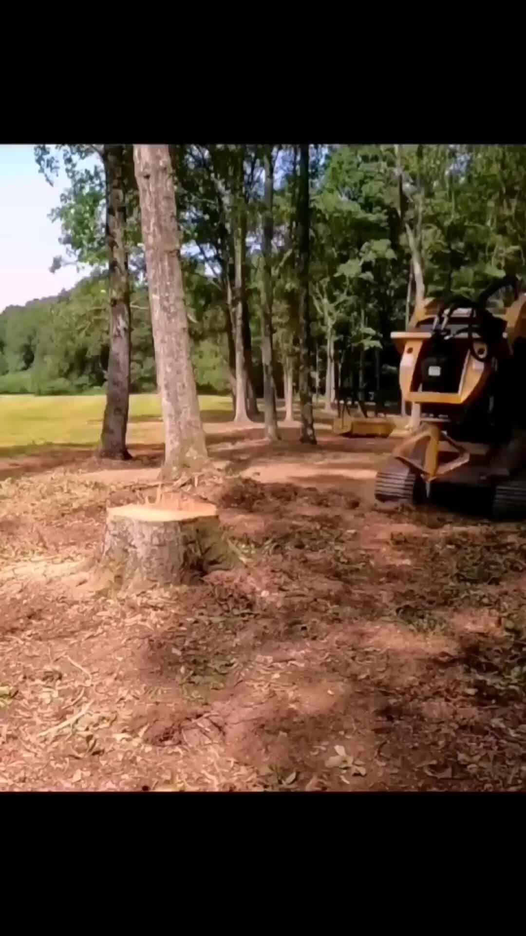 Мастер Сан Саныч! | Чудо техника для удаления пней от деревьев | Дзен