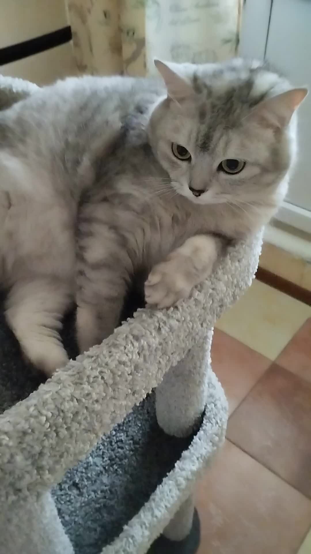 песня будь со мной мальчиком пушистым зайчиком. ноты песни. песня будь со мной мальчиком пушистым зайчиком. песня будь со мной мальчиком пушистым зайчиком. поздравления с днём рождения динаре.