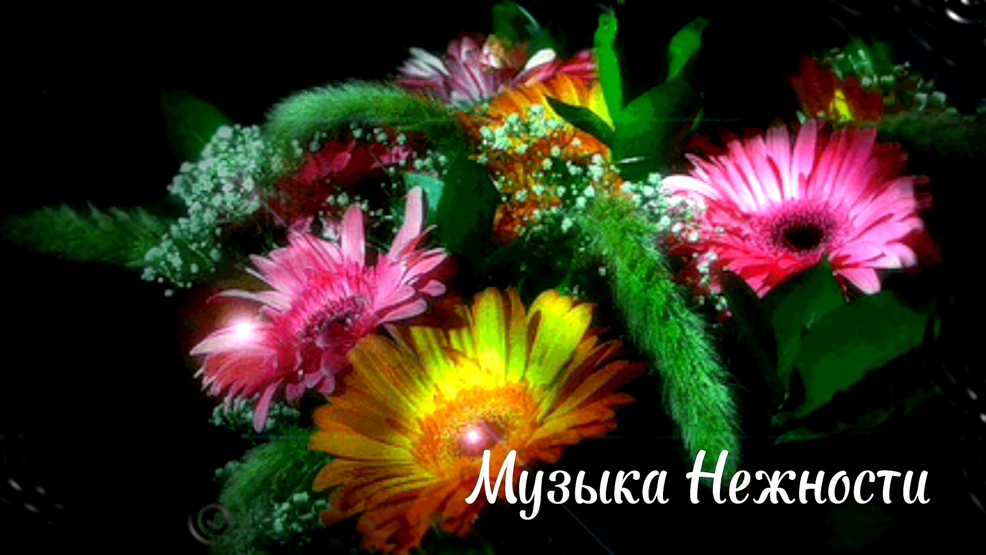 Моргающие цвета