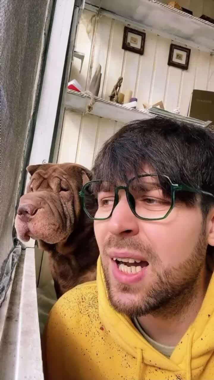 Андрей Ива | жизненно | Дзен