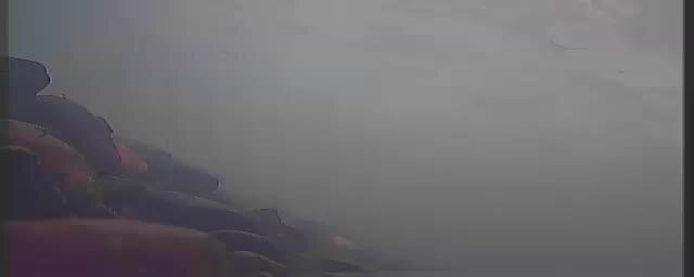 Роскошные ювелирные украшения. Ювелирные изделия. Ювелирные украшения эксклюзив. Красивые кольца. Ювелирные перстни мужские.