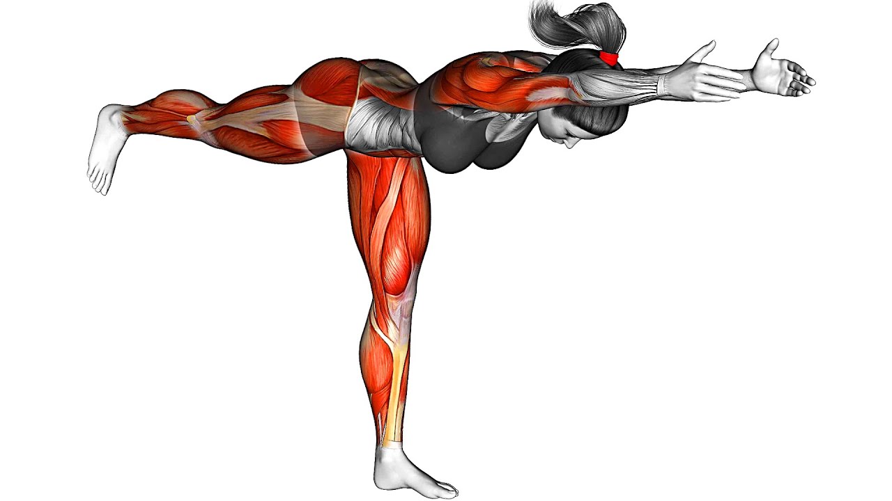 Тренировочные последовательности