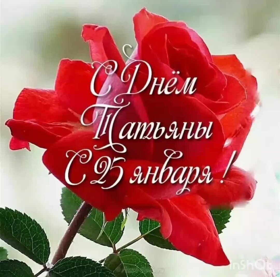 Последняя парта. Твоя мамаша. Опа твоя мать. Твоя мама. Твоя мама классная.