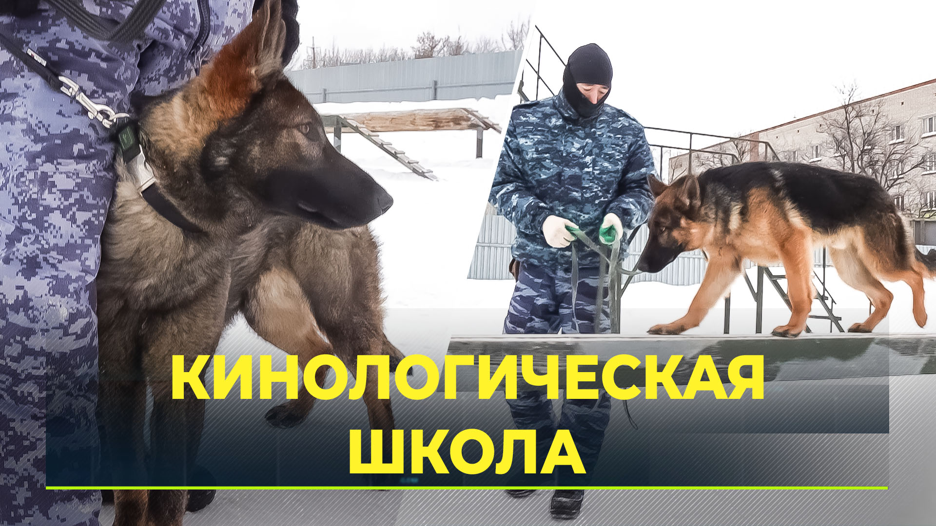 Нп цпп тюмень мираж. Центр профподготовки. Центр профессиональной подготовки тюмень. Ведомственная охрана минфина россии. Вневедомственная охрана министерства финансов.