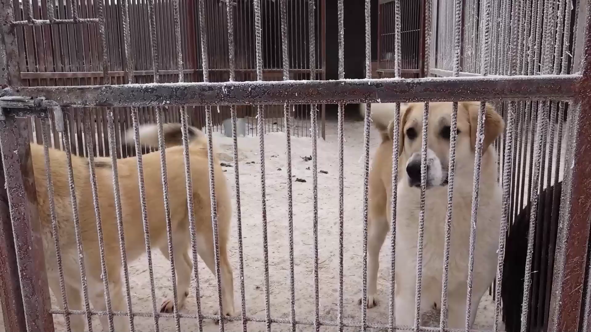 Сдать восемь. Сдать восемь