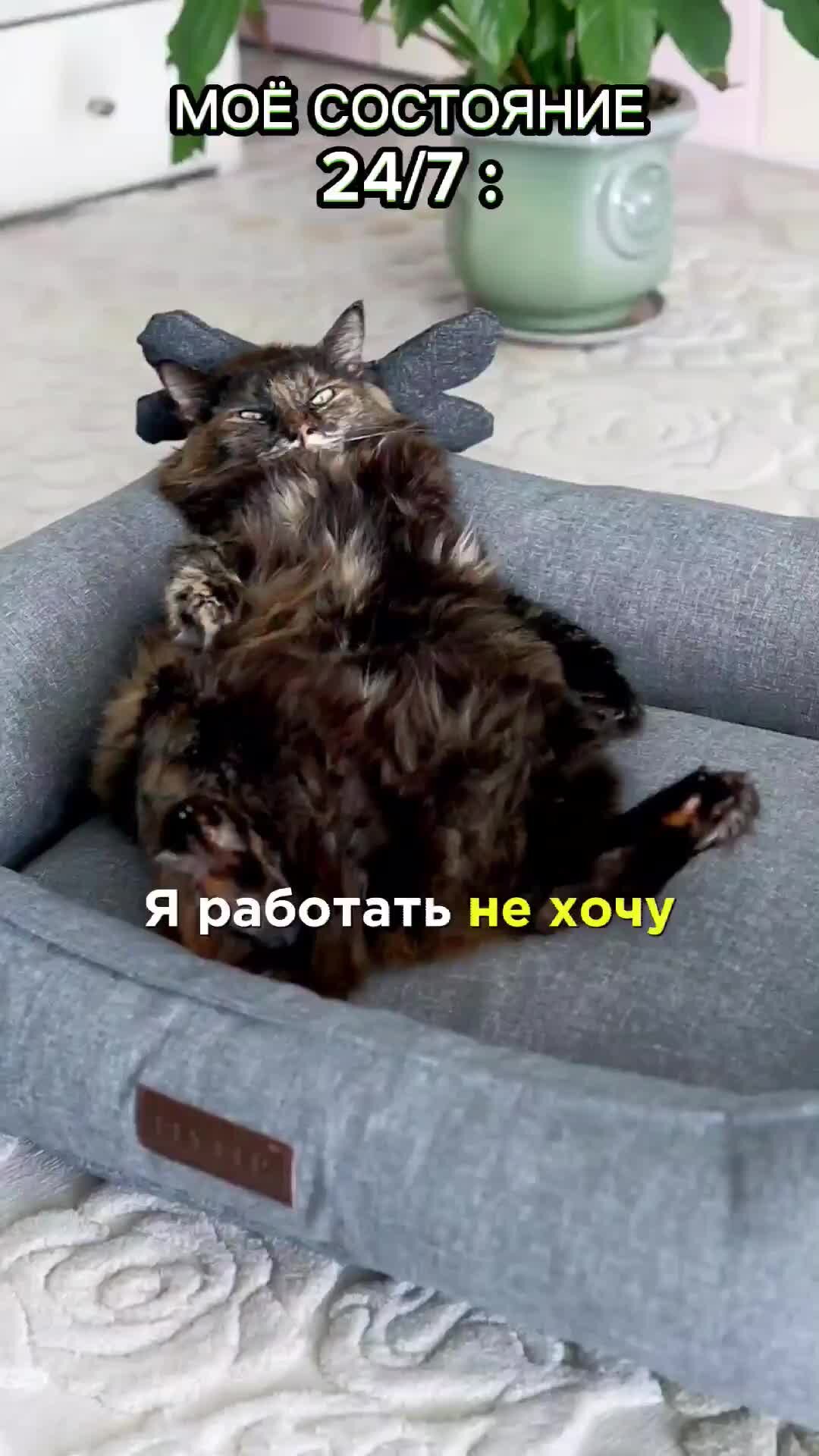 Статусы — сплю