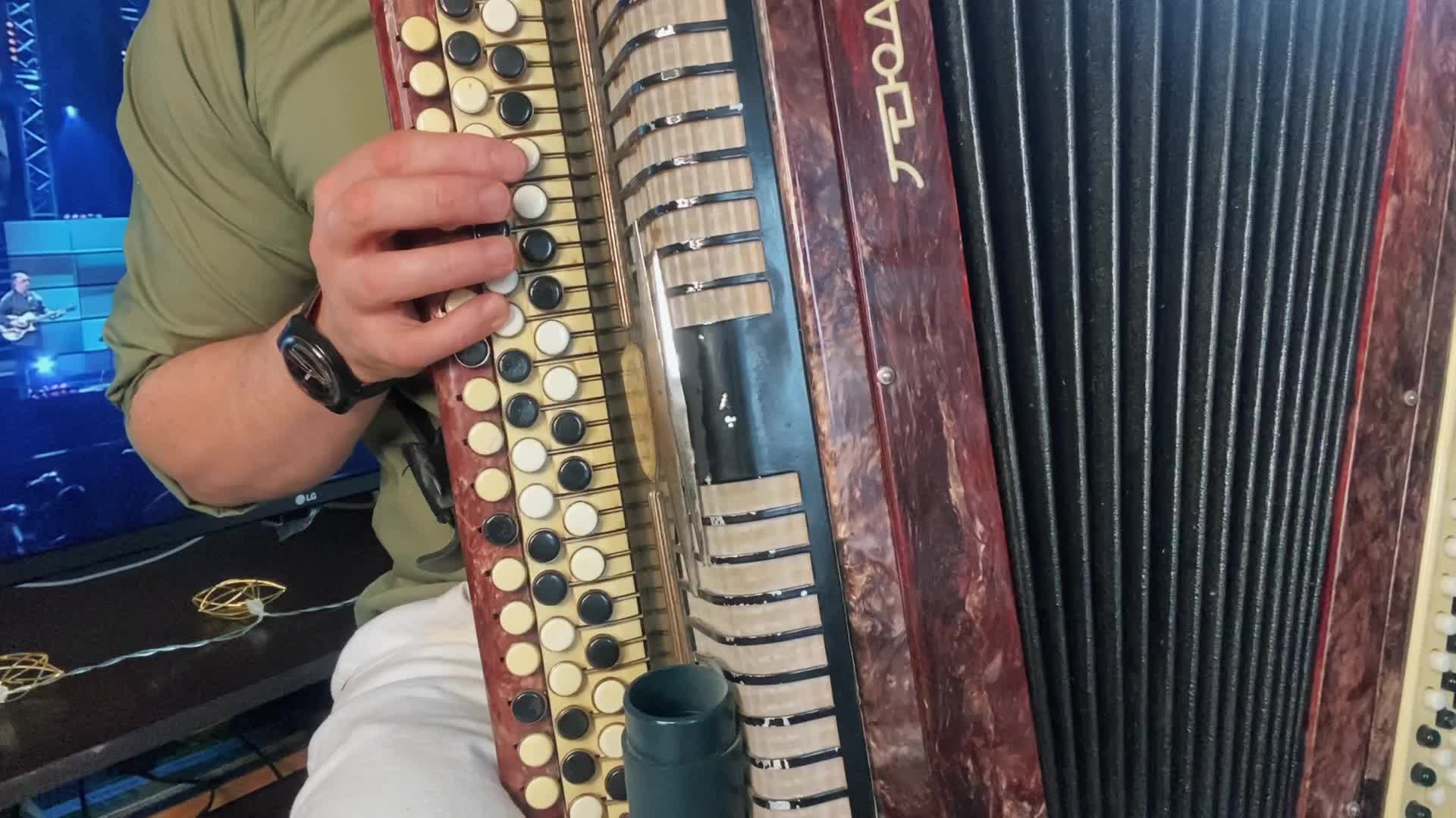 аккорды на баяне схема. левая клавиатура аккордеона до диез. левая клавиатура трехрядного баяна. первые уроки игры на баяне. баян с нуля.