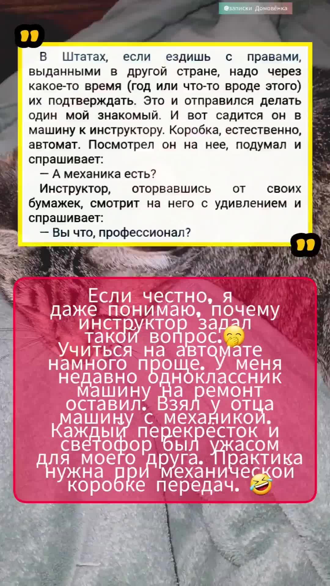 Записки Домовёнка | А вы умеете работать с механической коробкой передач 🤔  Новая рубрика на канале @Записки Домовёнка 👈 “моё мнение за 5сек“ #юмор  #посты #актуально #новости #интересное ⚡Выпуски каждый день ⚡ | Дзен