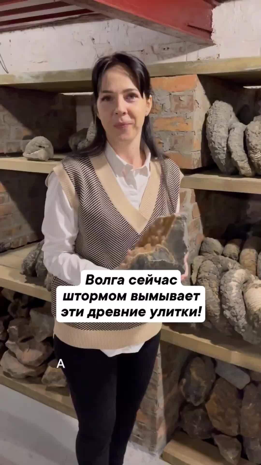 travel_lerka | Волга сейчас штормом вымывает эти древние улитки! # ...