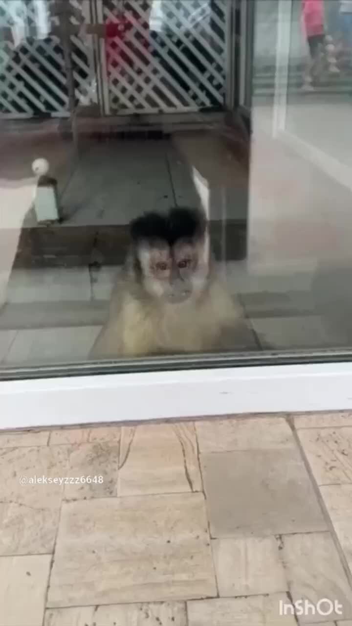 ростов на дону видео обзор. ростов на дону видео обзор. виды города ростова на дону. ростов-на-дону. ростовская область столица ростов на дону.