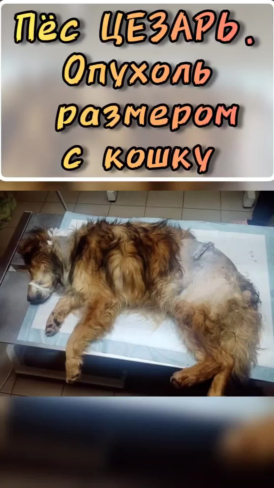 Санаторно-курортное лечение кому положено бесплатно. Как попасть на лечение. Право на получение медицинской помощи. Памятка для госпитализации в больницу. Как попасть на лечение.