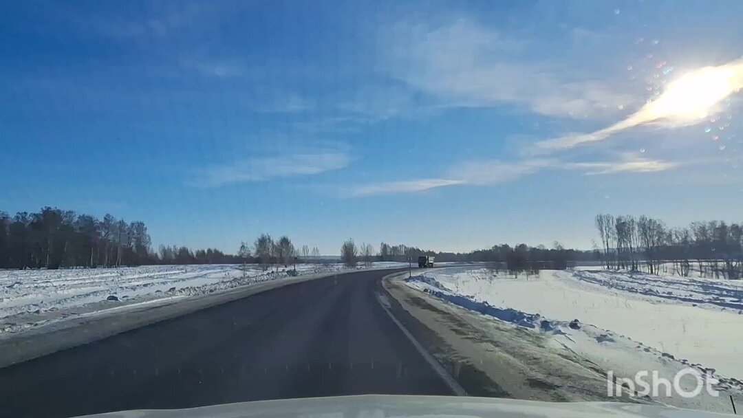 небо синее меж берез дожди косые. наклоненная береза. русь белоствольная. береза под дождем. береза поздней осенью.