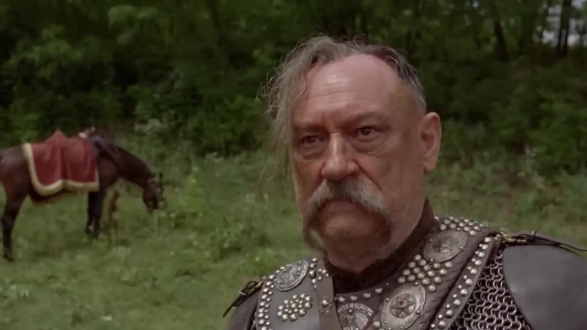 Фото бульбы. Тарас бульба 2009. Фото бульбы. Богдан ступка бульба. Тарас бульба кадры из фильма.