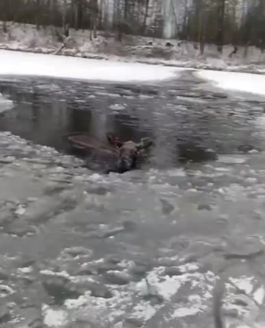 спящая царевна царь матвей. жил был добрый царь матвей жил с царицею своей автор. спасибо родная. сказка жил был добрый царь матвей. благодарствуй добрый рак не ждала.