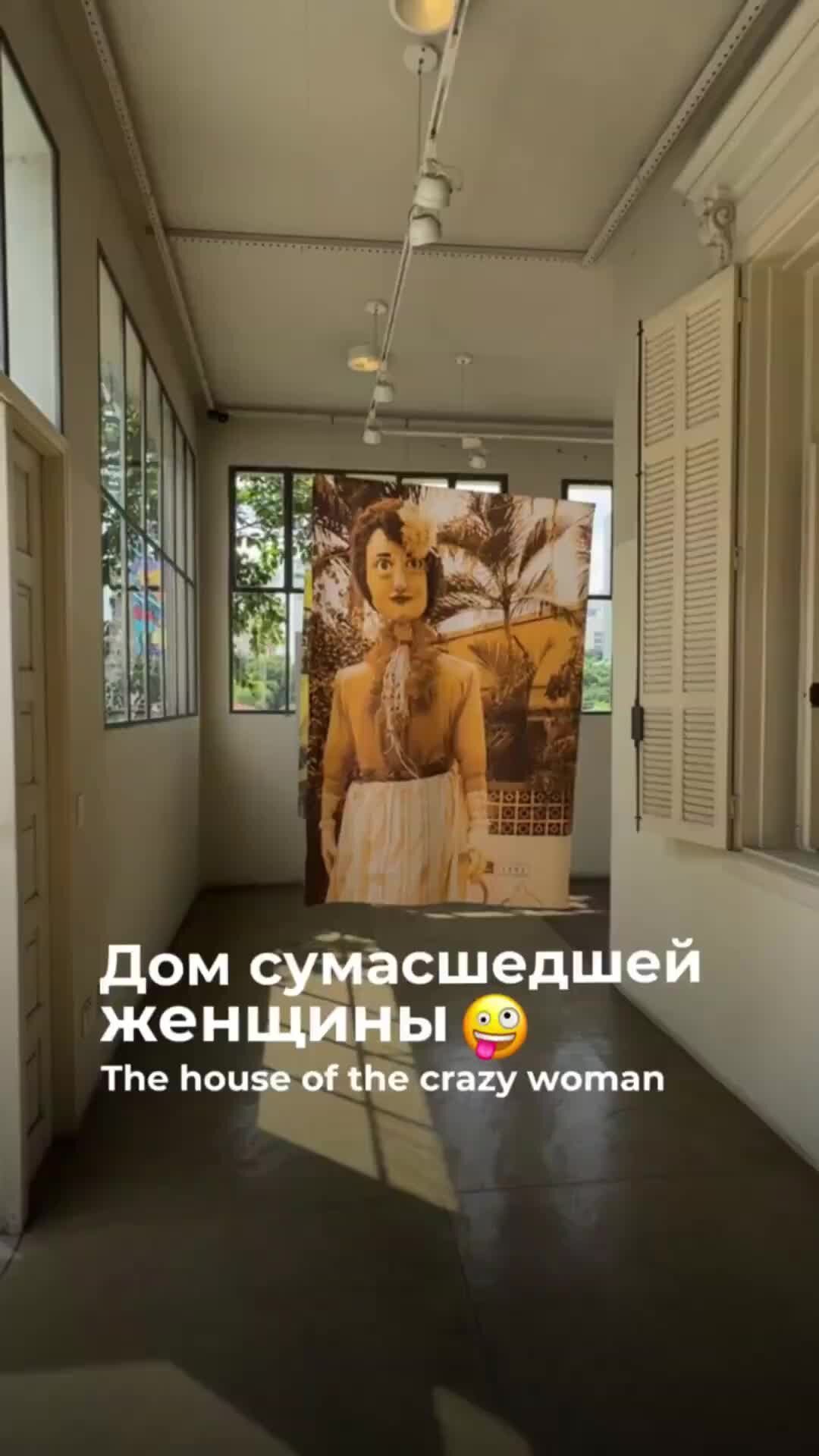 Диана Листопад | Дом сумасшедшей женщины // the house of the crazy  woman🤪#реки #рекомендации #аргентина #искусство #феминизм #история | Дзен