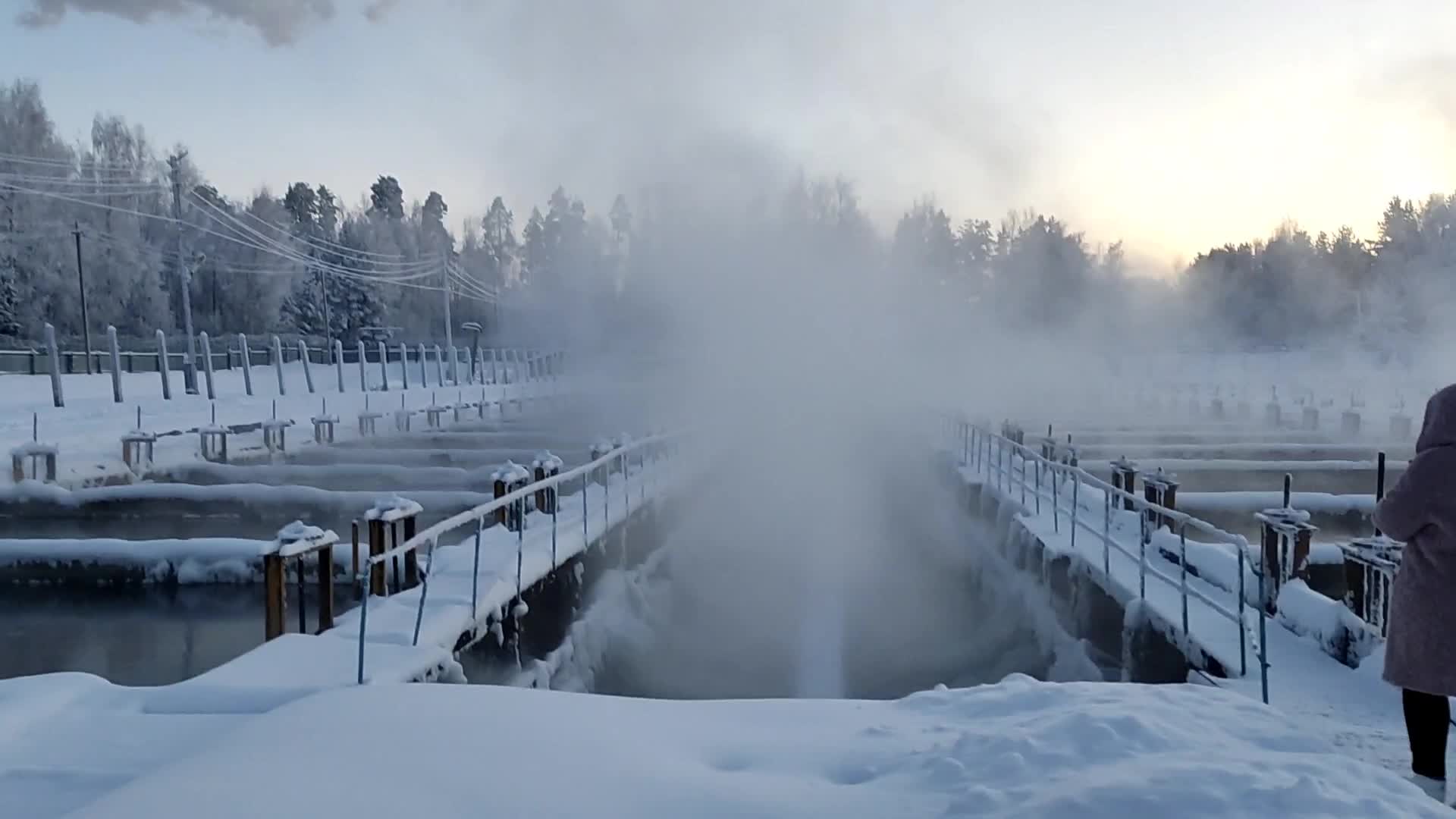 Рыбное хозяйство