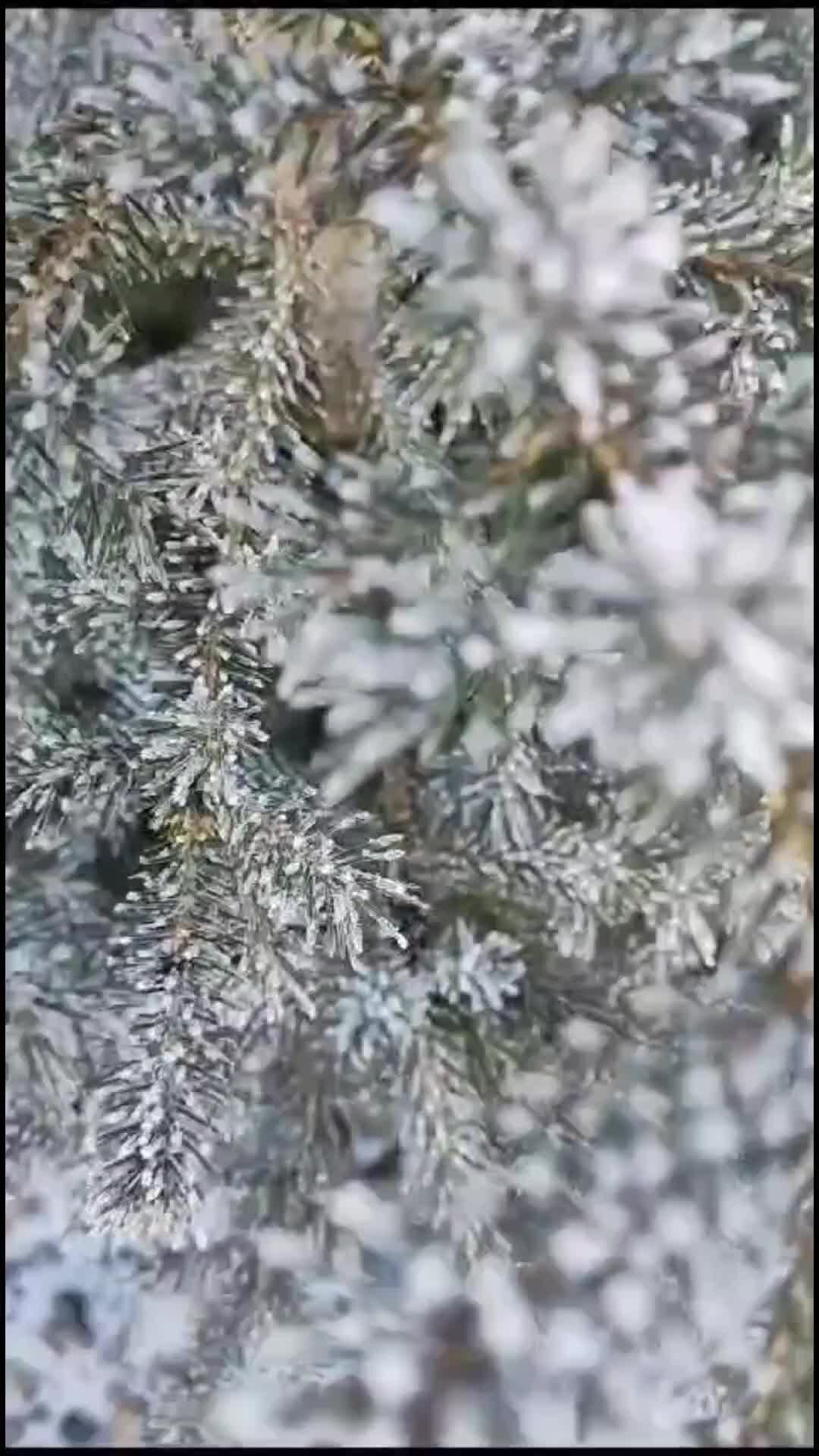 я умру свободным я не вижу. я помер. хочется помереть. высказывания про жалость. я уйду никто и не заметит.