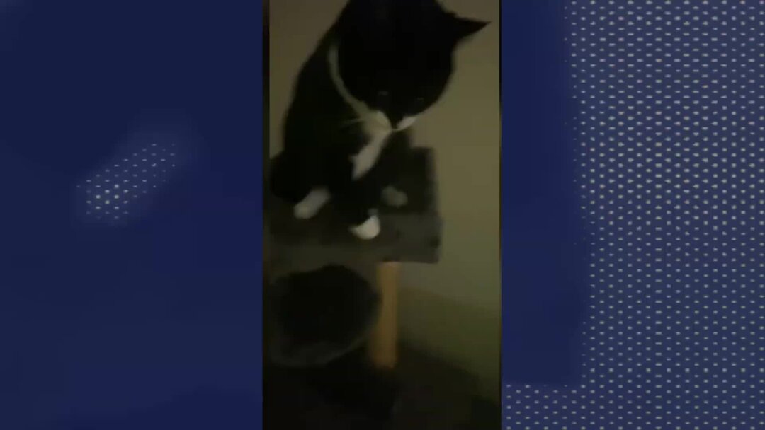 ютуб приколы. самые смешные видеоролики. прикольные видеоролики. смешные видеоролики на ютубе. фейлы девушек.