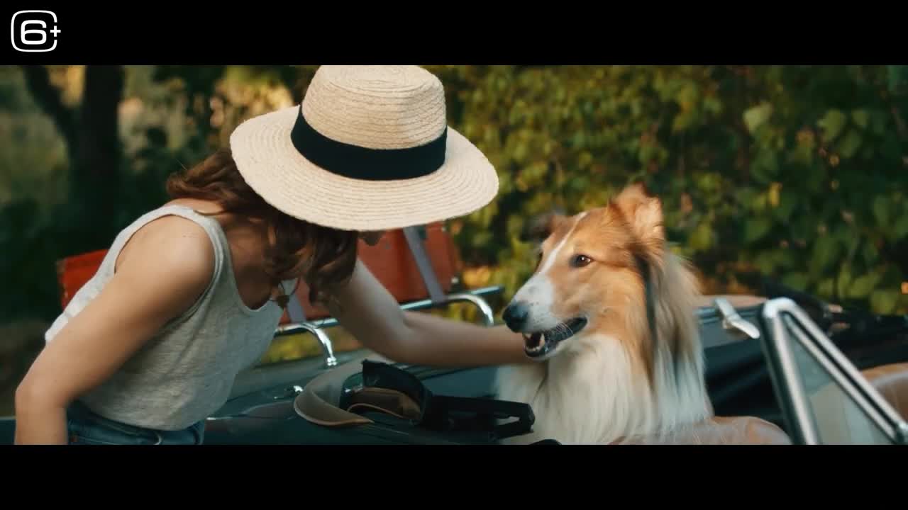 фильм возвращенные домой 2020. лохматый папа (2006) (the shaggy dog). лесси фильм про собаку 2020. лесси лохматый детектив 2023 отзывы. джеффри дин морган бесстыжие серия.