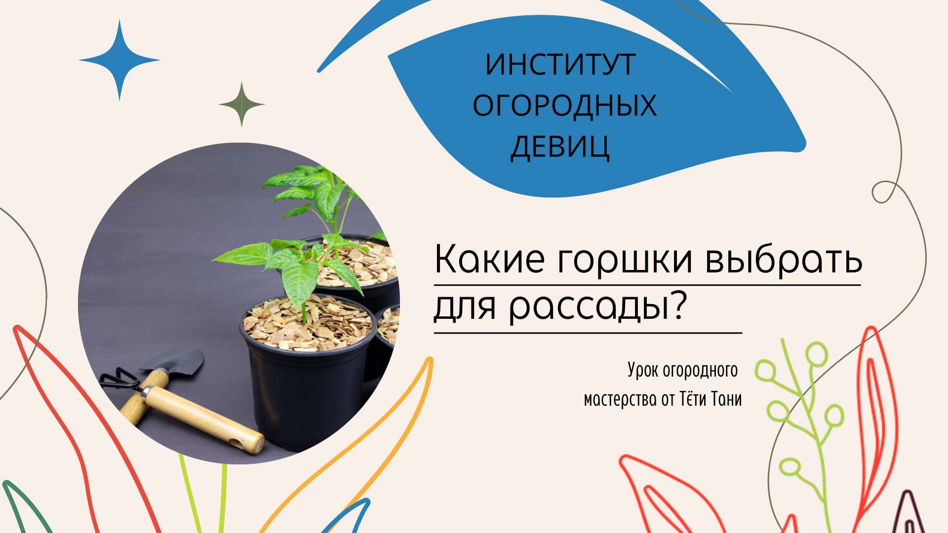 институт огородных тетя таня дзен