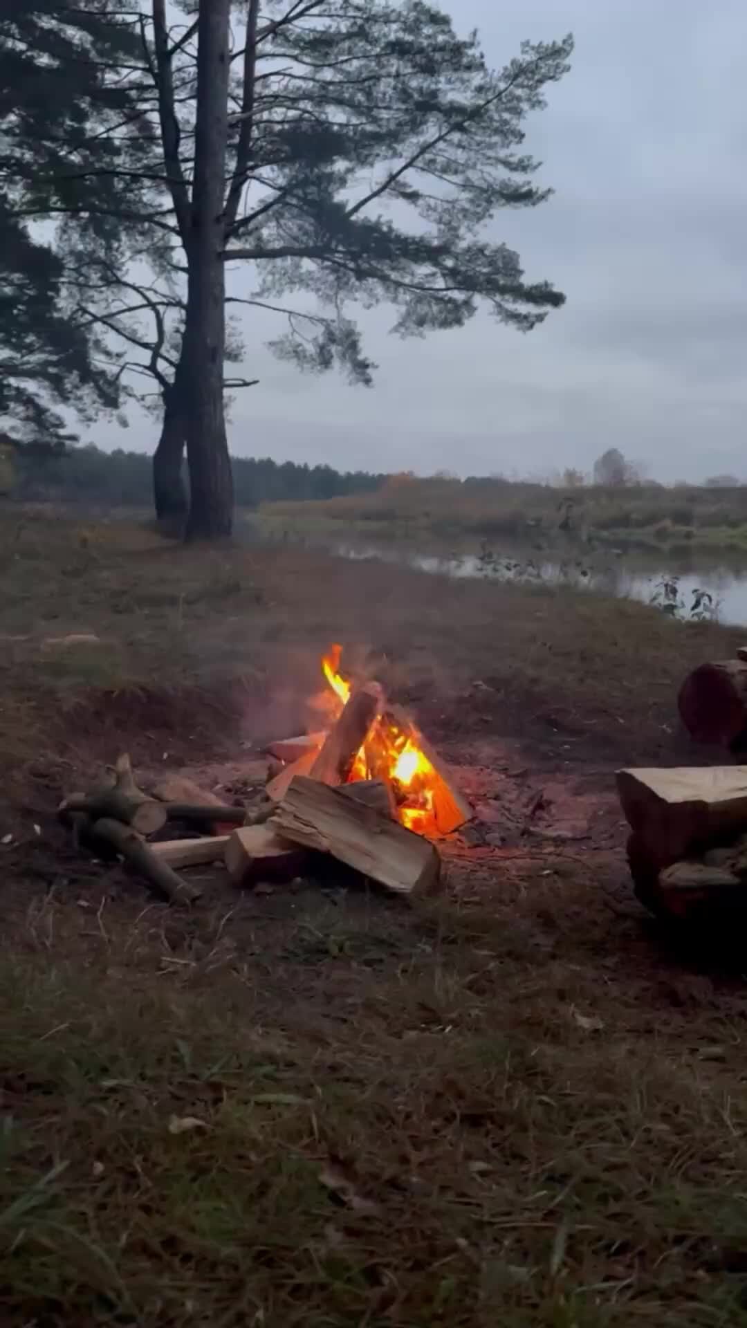 КЕМПИНГ ОЧЕНЬ ПРОСТО.УКРЫТИЕ ОТ СОЛНЦА СВОИМИ РУКАМИ.БЕСКЛЁВЬЕ В ЖАРУ И БЕЗВЕТРИЕ.