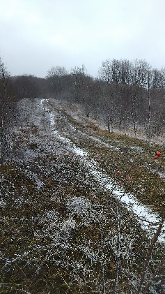 хлопья снега. снег за окном. снег идет вел. снег идет вел. человек под снегопадом.
