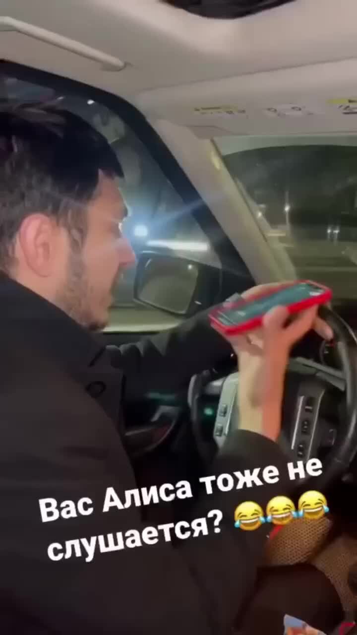 Suetovyi | Алиса привет мой дорогой 😂😂 | Дзен