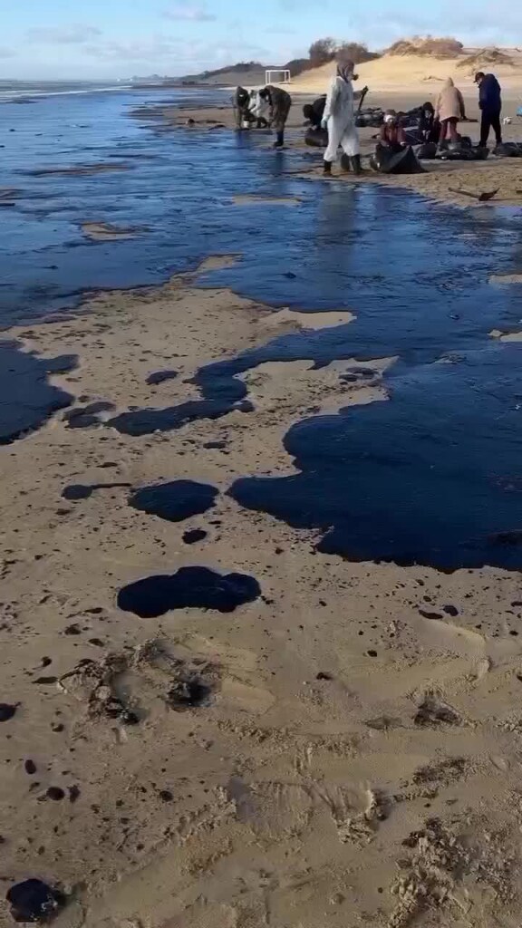 Мазут в черном море информация. Мазут в черном море информация