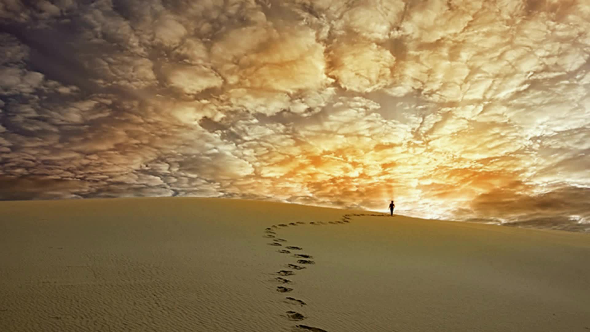 добрые высказывания. высказывания о добре. пусть мечты сбываются. цветочки душевные. всегда желайте людям добра.