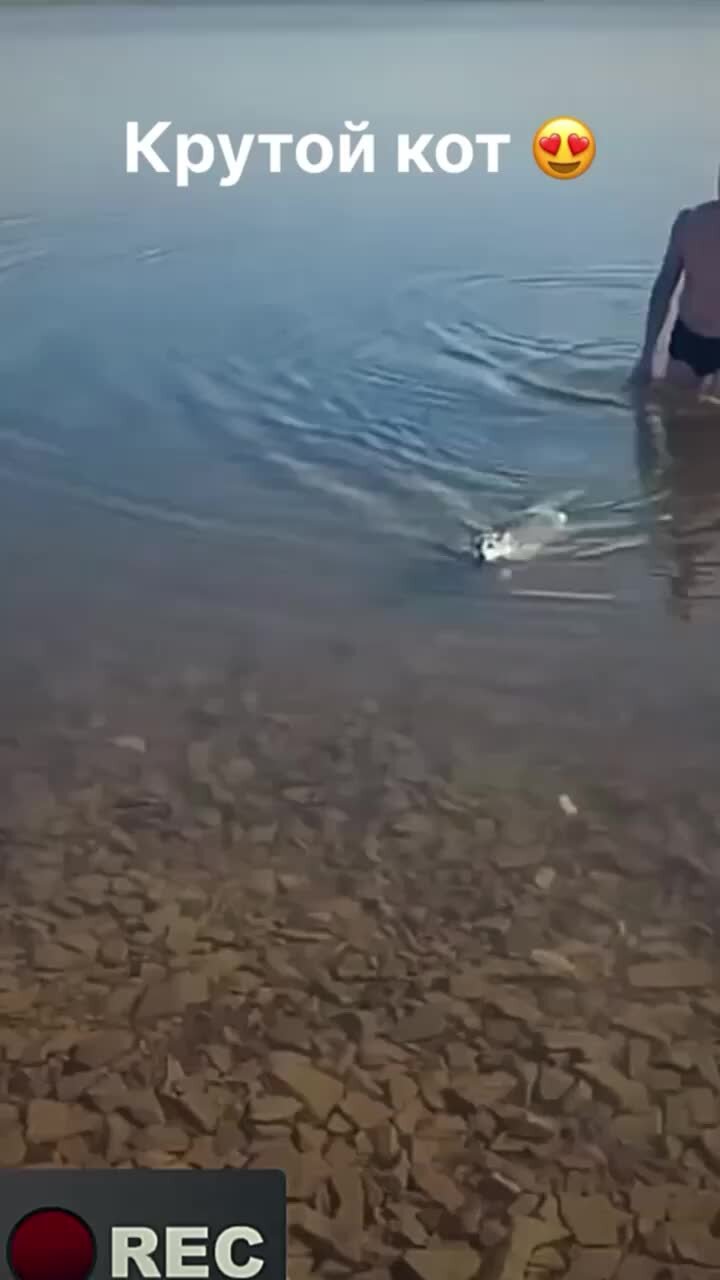 добры молодцы аккорды